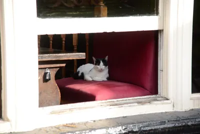 DSC_2480 (Large).JPG